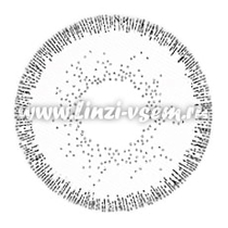 Цветные линзы EOS Sole 2 tone Grey Фото 4