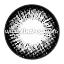 Цветные линзы EOS V Check Black Фото 4