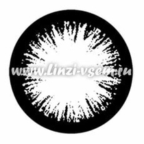 Цветные линзы EOS GBK3 Black фото